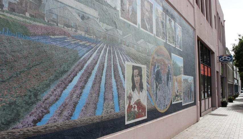 img_0170-4_hr_med_hr