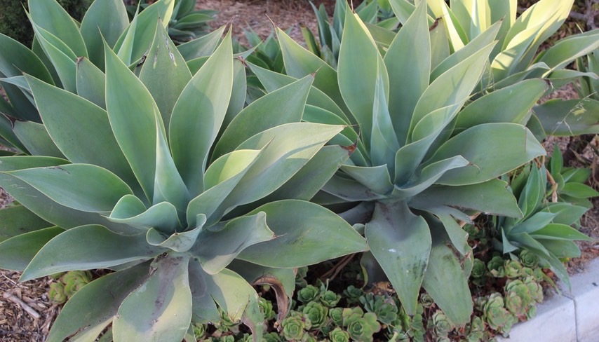 img_0221-4_hr_med_hr