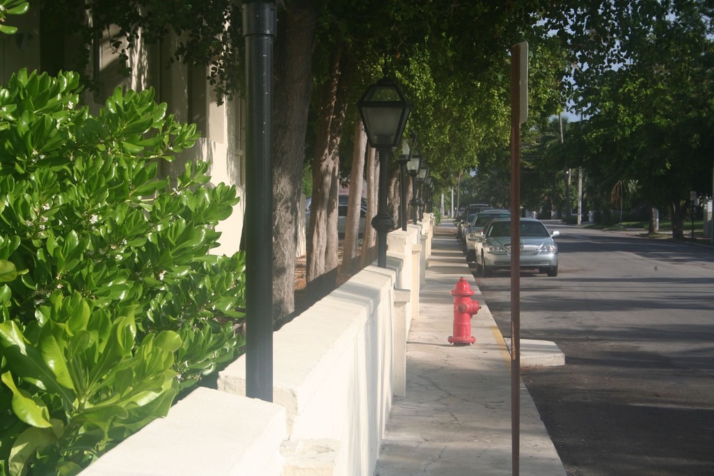 img_7146_med_hr
